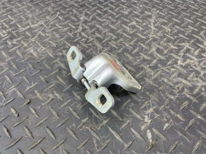 Петля двери