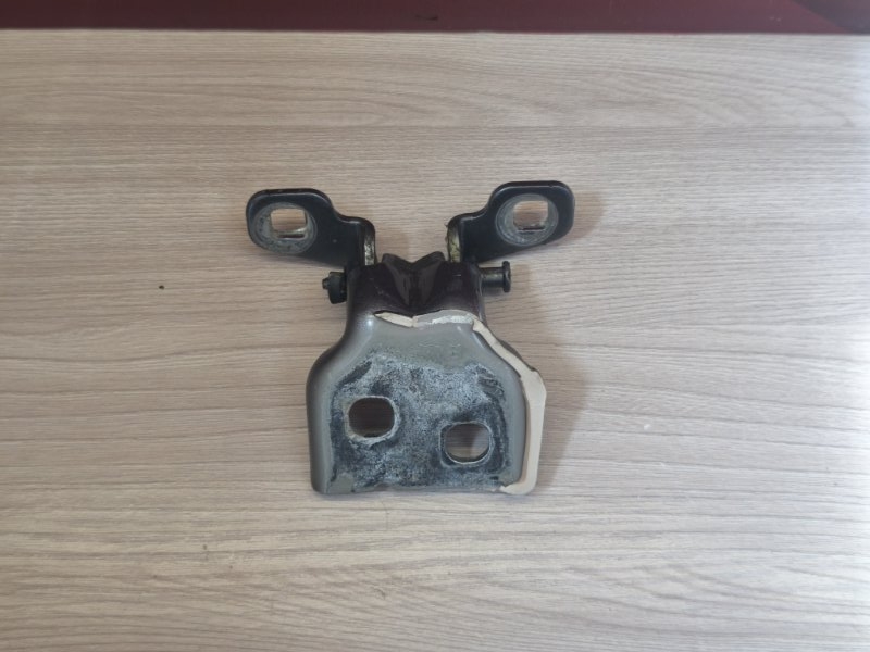 Петля двери