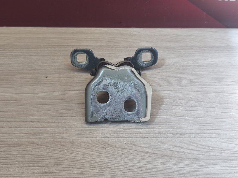 Петля двери