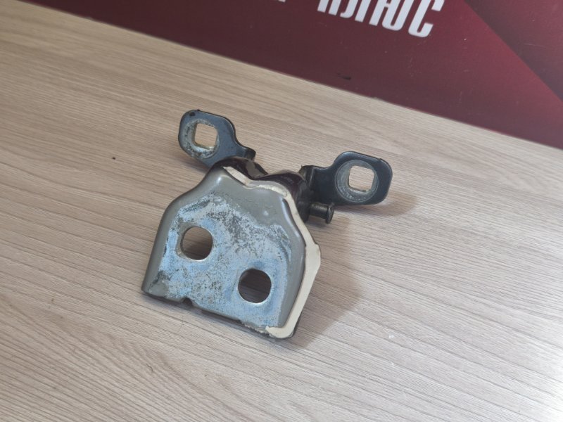 Петля двери