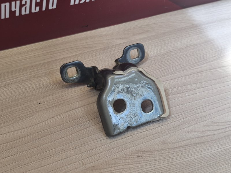 Петля двери