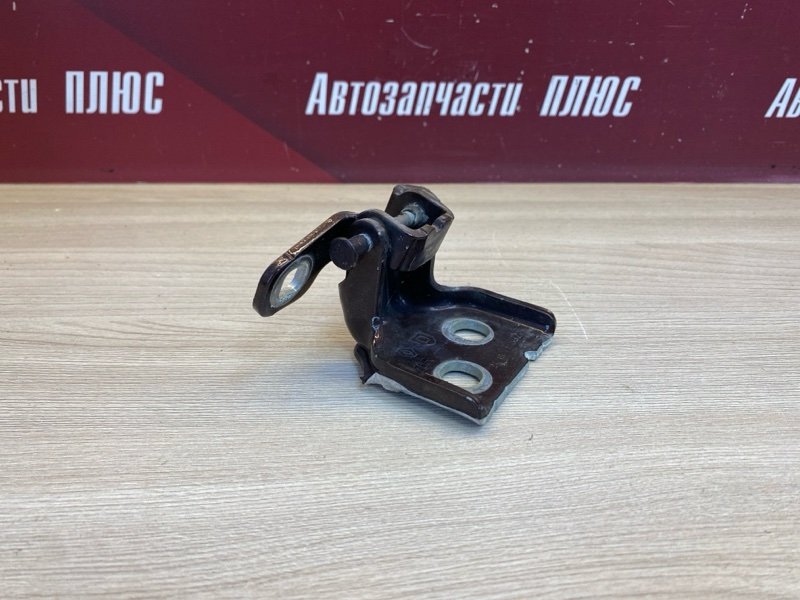 Петля     двери