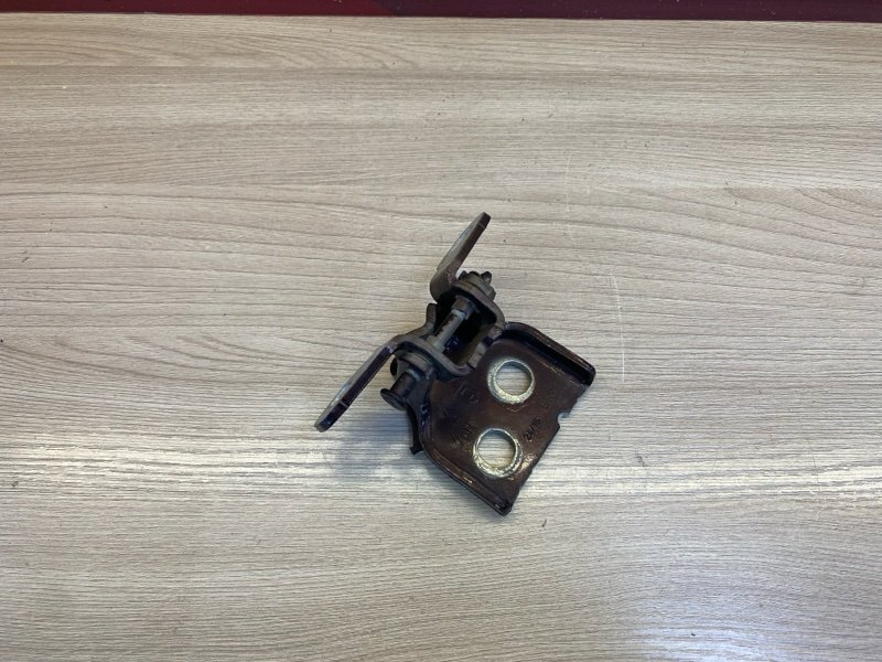 Петля     двери