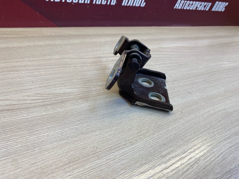 Петля     двери