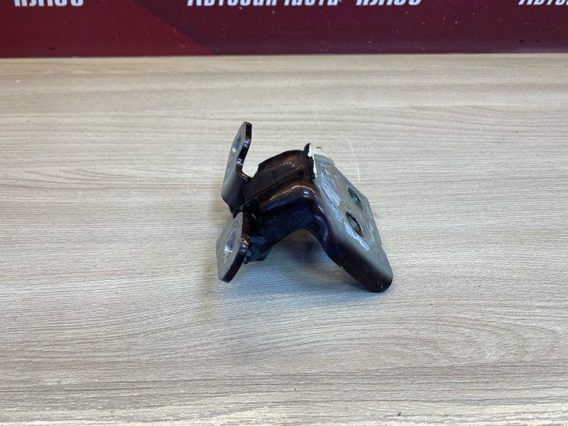 Петля     двери