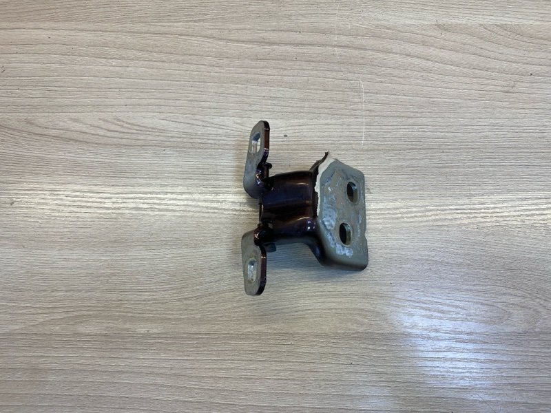 Петля     двери