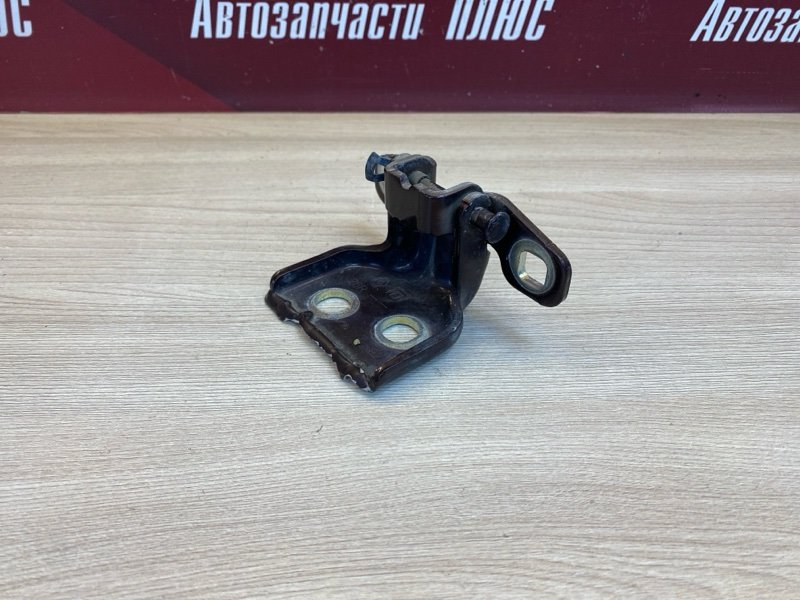 Петля     двери