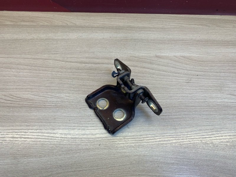 Петля     двери