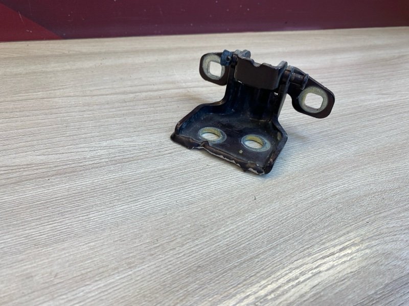 Петля     двери