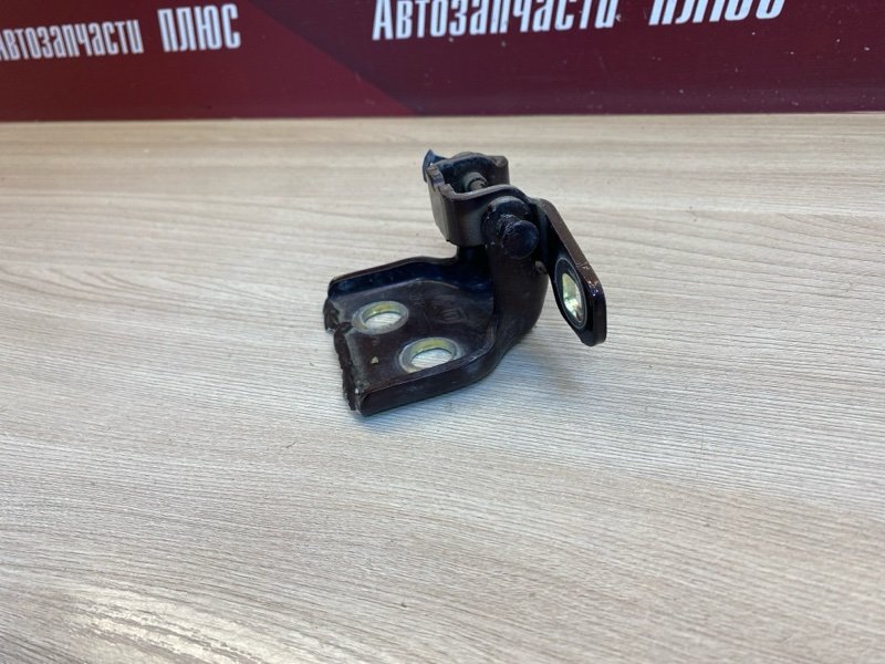 Петля     двери