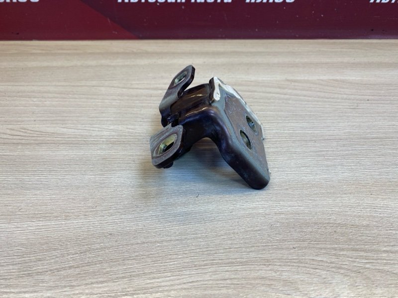 Петля     двери