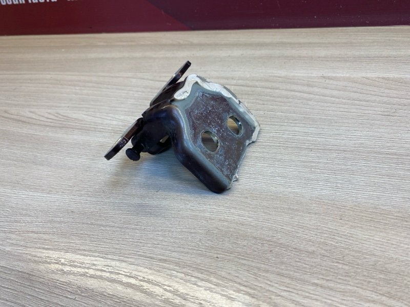 Петля     двери