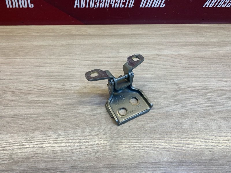 Петля     двери