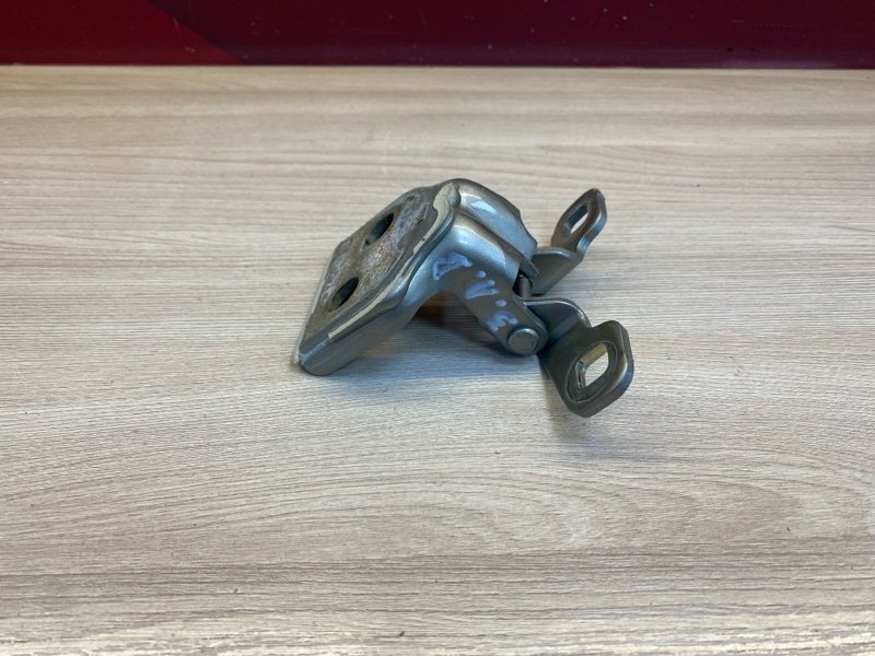 Петля     двери