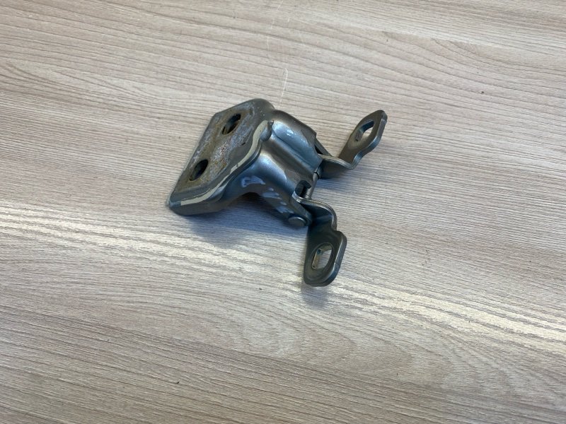 Петля     двери