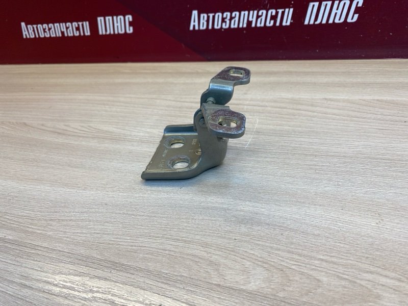 Петля     двери