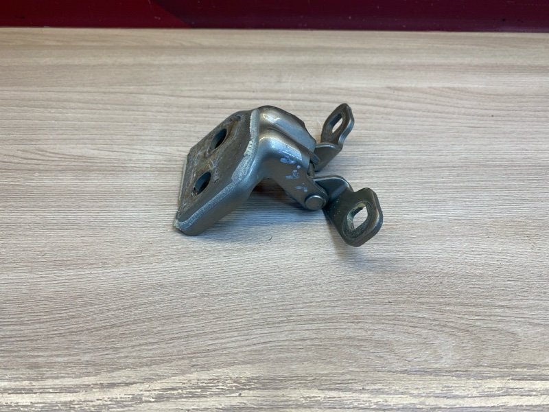 Петля     двери