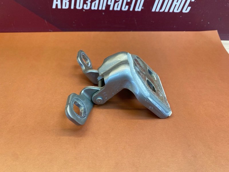 Петля     двери