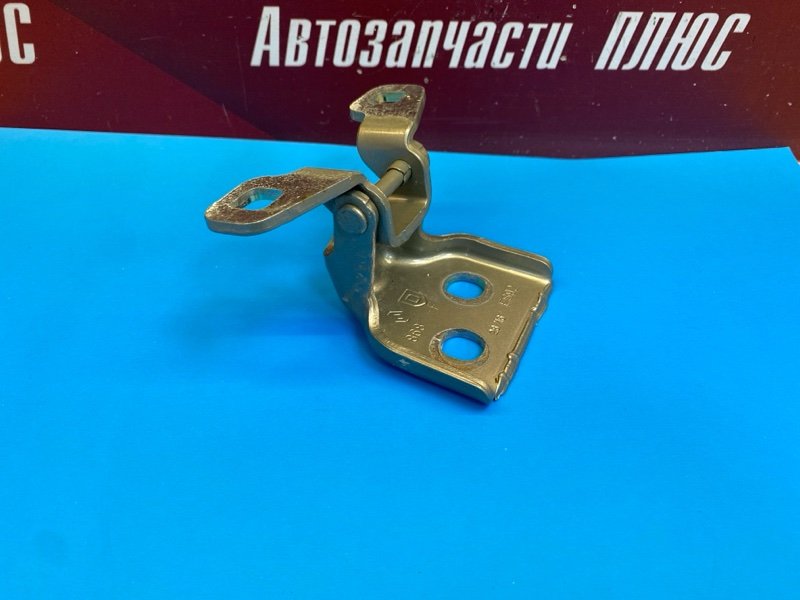 Петля     двери