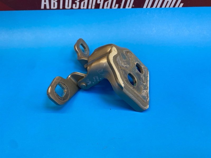 Петля     двери