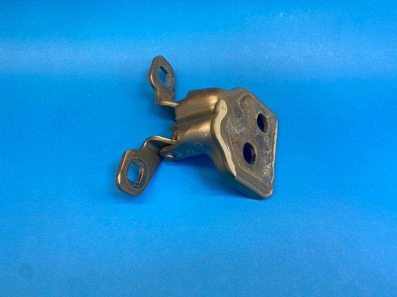 Петля     двери