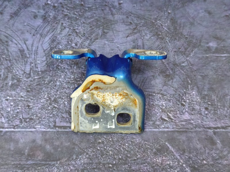 Петля двери