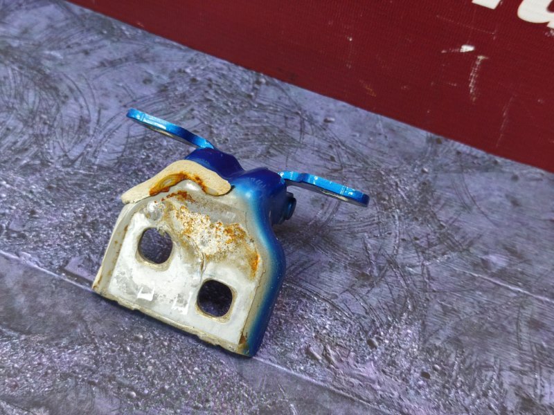 Петля двери