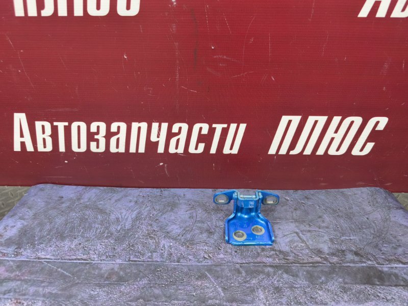 Петля двери