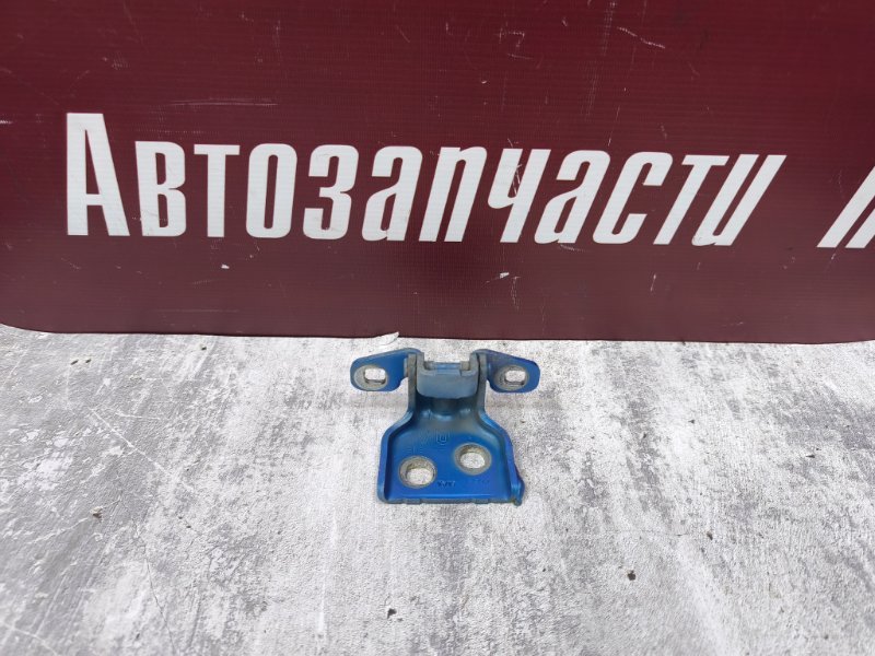 Петля двери