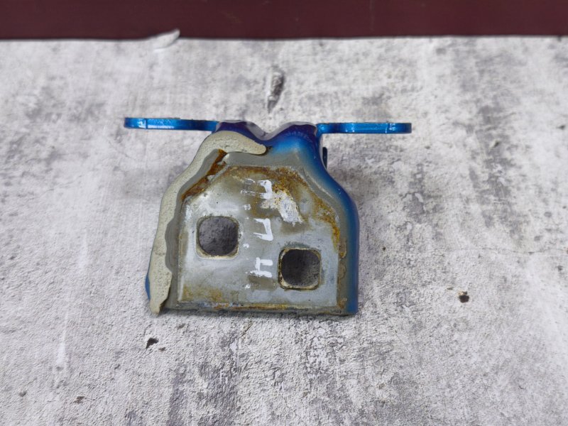 Петля двери