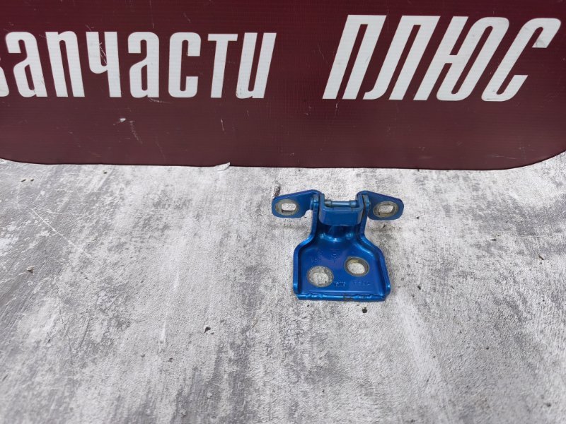 Петля двери