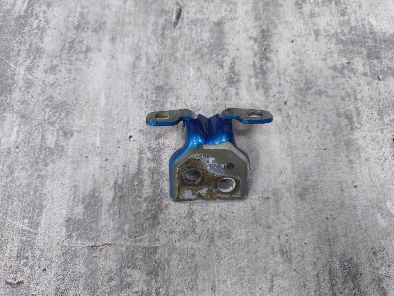 Петля двери