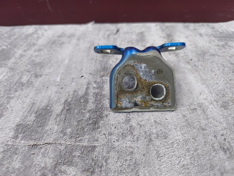 Петля двери