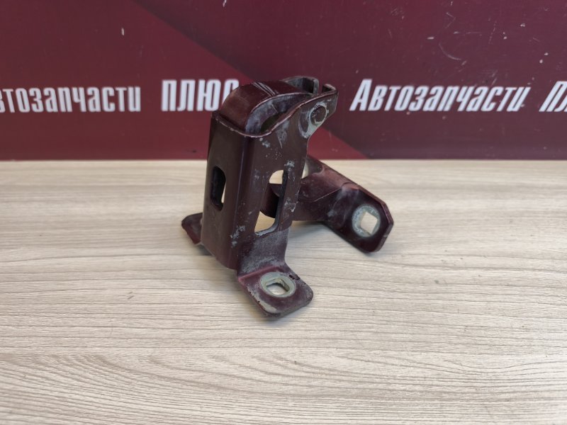 Петля двери багажника