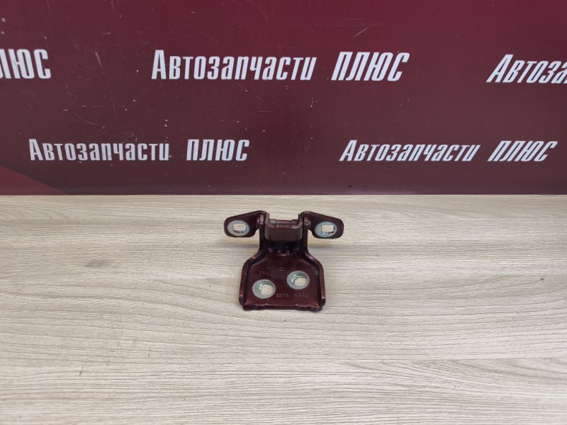 Петля двери